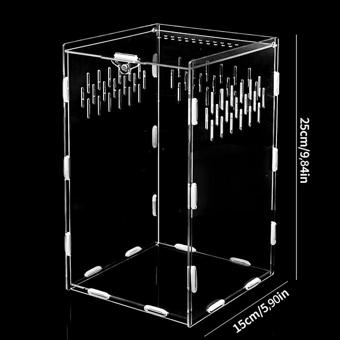 Jumping Spider Enclosure, 10x6x6 Inch Acrylic Reptile Enclosure with Front Door, Large Insect Terrarium Habitat for Jumping Spiders, Praying Mantis, Arboreal Tarantulas