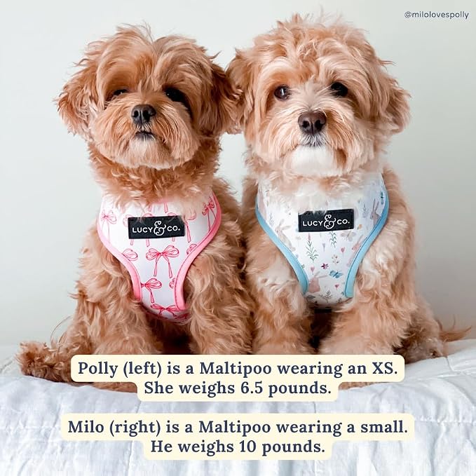 Lucy & Co. Reversible Dog Harness - Water-Repellent Neoprene, Dual-Print Design, Easy Swap Style, Adjustable Comfort Fit - Take a Bow Reversible Harness - Medium