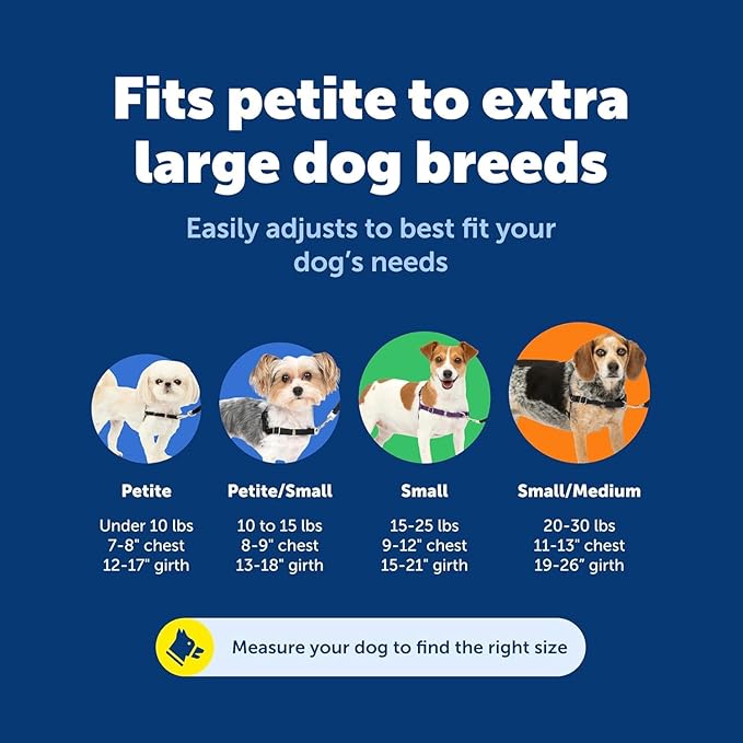 PetSafe Easy Walk Harness for Dogs - Pull-Free Walks - Patented Martingale Loop Design - Front Chest Leash Attachment - Comfort Straps - Breathable Harness Design - Small/Medium, Apple Green/Gray | Patented Martingale Loop Gives Gradual Shoulder Pressu...