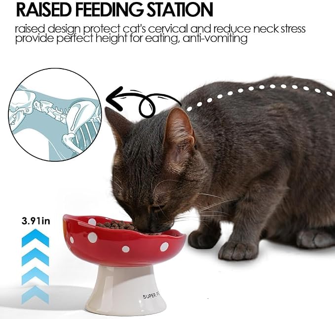 Pink and Blue Mushroom Cat Bowl Set,2PCS Elevated Ceramic Bowls for Cats | Cute Design, Elevated, Ceramic, Whisker Friendly, Dishwasher Safe