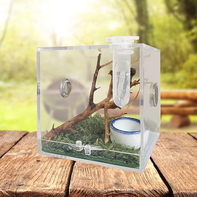 Jumping Spider Enclosure, Jumping Spider Habitat with Dropper Tongs Acrylic Reptile Breeding Box for Tarantula Scorpion Sling Isopods Invertebrates Insects Mantis Snake Gecko