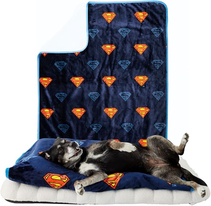 Superman DC Comics Waterproof Dog Bed Cover, Large 40x50 Pet Blanket for Furniture Bed Couch Sofa, (Officially Licensed) by Franco