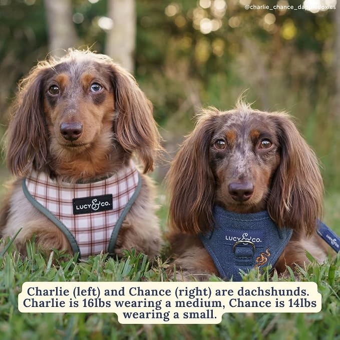 Lucy & Co. Reversible Dog Harness - Water-Repellent Neoprene, Dual-Print Design, Easy Swap Style, Adjustable Comfort Fit - Camp Out Reversible Harness - Medium