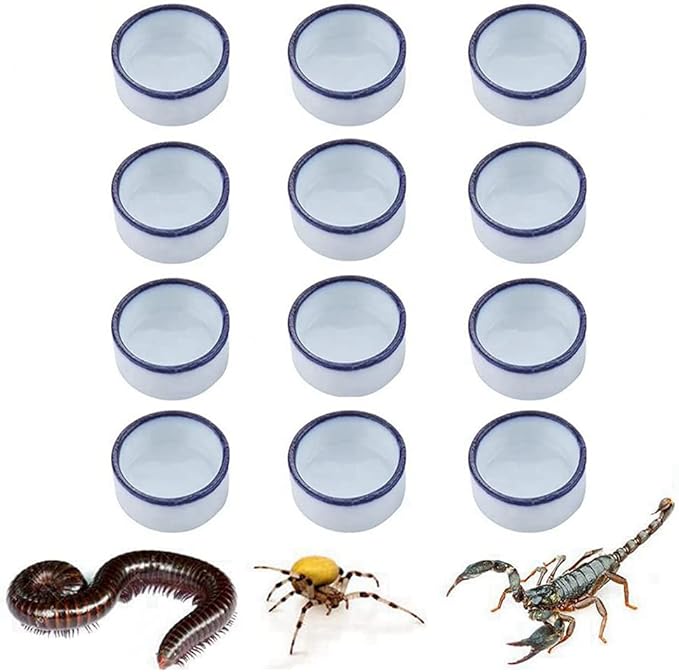 Tarantula Micro Water Bowl Spider Anti-Turnover Bowl for Small Hamster Tarantula Spider Scorpion Cricket Snail Manti Millipede Tiny Bugs Reptile Terrarium Cage Accessories (L (1.57??dia),12 Pcs)