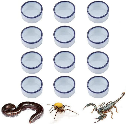 Tarantula Micro Water Bowl Spider Anti-Turnover Bowl for Small Hamster Tarantula Spider Scorpion Cricket Snail Manti Millipede Tiny Bugs Reptile Terrarium Cage Accessories (L (1.57??dia),12 Pcs)