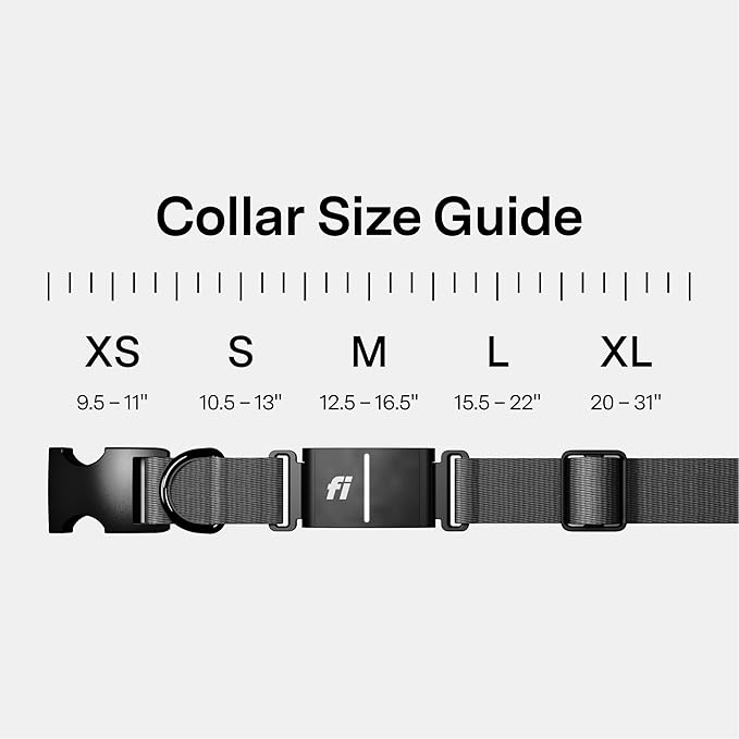 Fi New Series 3+ Smart Dog Tracker Collar [6 Month Membership Included] GPS Tracker for Dogs with Health & Behavior Monitoring, Escape Alerts, Waterproof, LED, Apple Watch Compatible (Gray, X-Small)