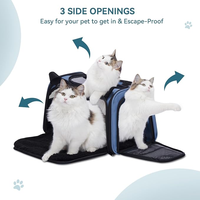 PETSFIT Pet Carrier, Blue, Small and Medium Cats, Puppies Up to 12 Lbs | Dog Carrier, Airline Approved, Collapsible Soft Sided, TSA Approved, Cat Travel Carrier
