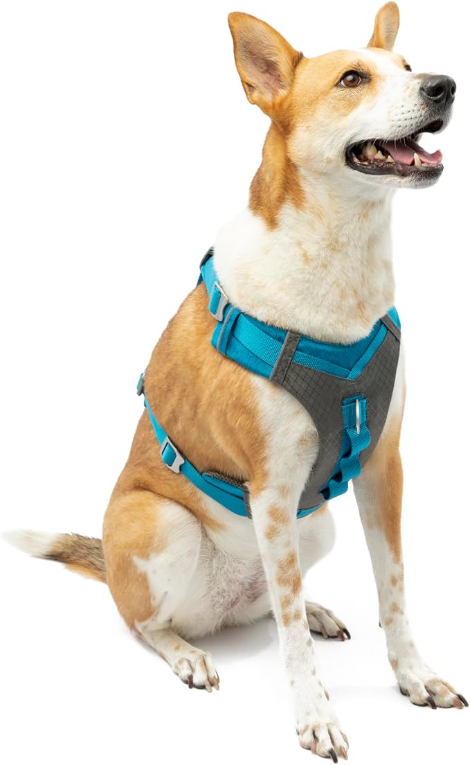 Kurgo Journey Air Dog Harness, Blue, Extra Large | Padded Chest, Ripstop Outer & Breathable Mesh, Back Assist Handle, Rust-Free Aluminum Hardware, Reflective Trim
