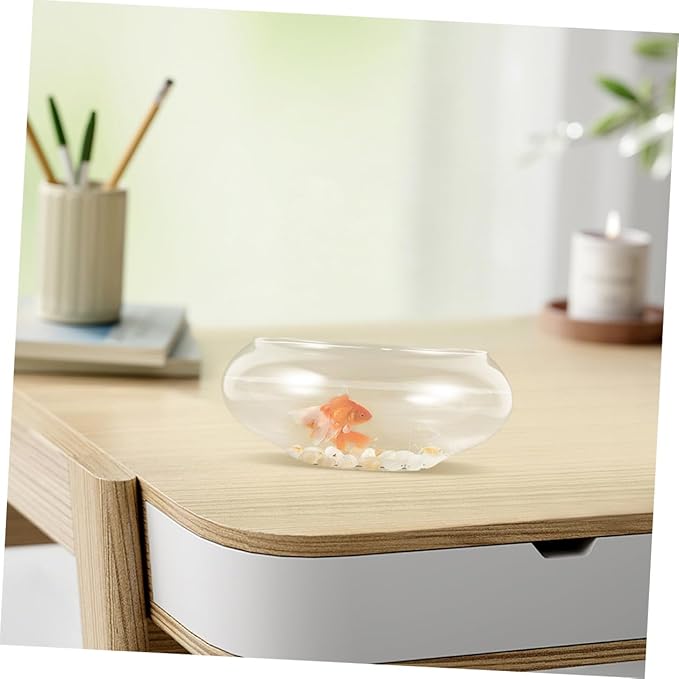 BESPORTBLE Clear Glass Betta Fish Tank Bowl Hydroponic Plant Terrarium for Succulents Goldfish Spacious Interior Durable Design for Home Decor Events
