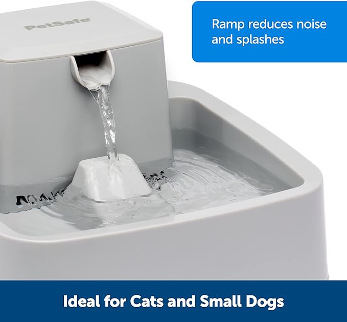 PetSafe Oasys Pet Fountain, 1/2 Gallon (64 oz), Small Dogs & Cats | Adjustable Water Flow, Whisker-Friendly Tray, Dishwasher-Safe, Replaceable Carbon & Foam Filters Included