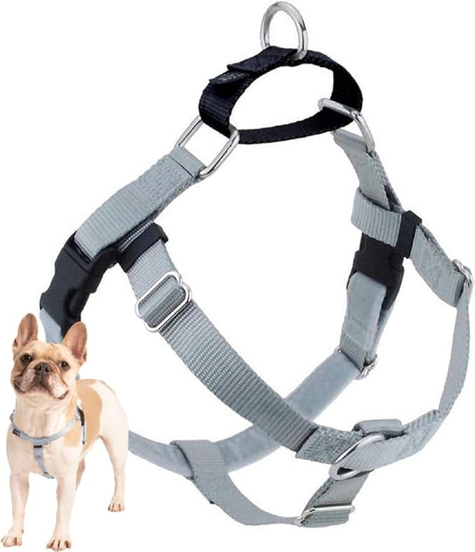 2 Hounds Design Freedom No Pull Dog Harness, 5/8 inch SM, Silver | Discourages Pulling, Comfortable Control Adjustable Dog Harness for Small Sized Dogs, Made in USA (Leash Not Included)