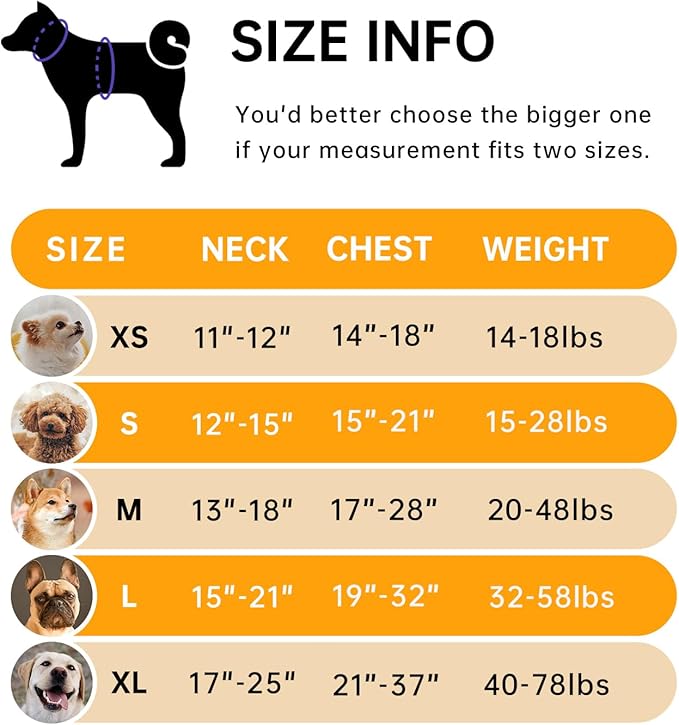 IVY&LANE No Pull Dog Harness for Large Dogs, Dog Vest Harness with Leash, Safety Belt and Storage Strap, Fully Adjustable Harness, 360° Reflective Strip, Soft Handle (Orange, L)