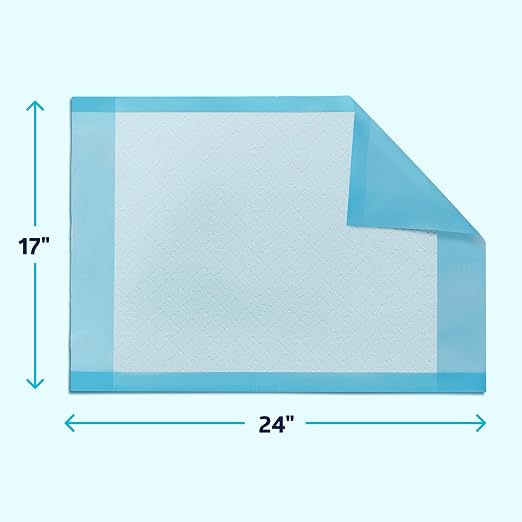 Medline Light Absorbency Underpad, 17" x 24", 100 Count, Disposable Chucks, Bed, Furniture & Surface Protection, For Kids, Adults, Elderly, Puppy Pad, Changing Pad, Incontinence Pee Pad