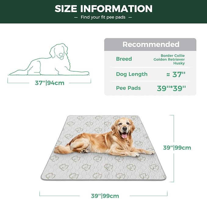 FXW Washable Pee Pads for Dogs, Super Absorbent, 39" Square, 2 Packs | Machine washable, Non-slip backing