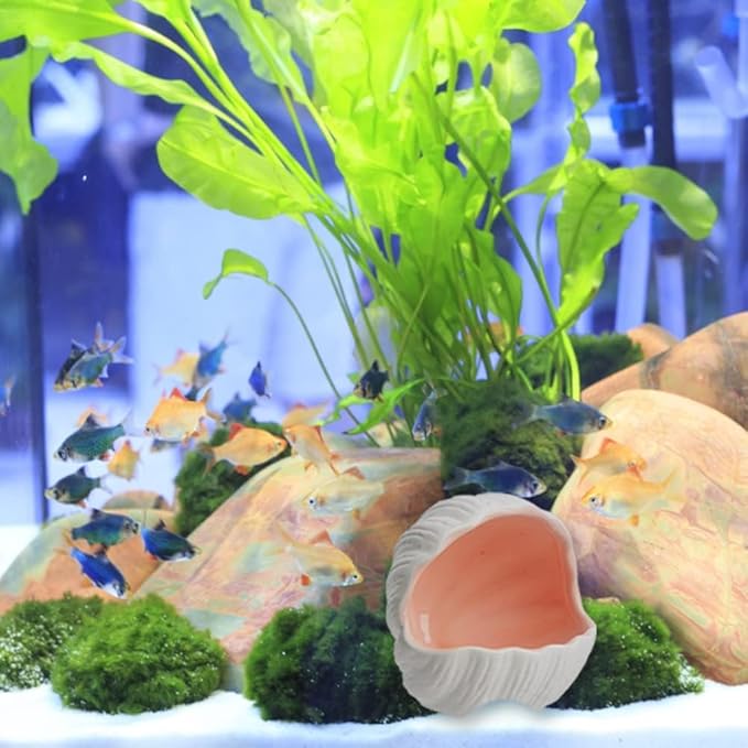 RUIAN Cute Aquarium Decorations Ceramic Conch Shell-Shaped House Thematic Betta Fish Tank Accessory Decor Ornament Hideout Cave for Fish Playing or Hiding,Hamster House,Craft Projects (Pink)