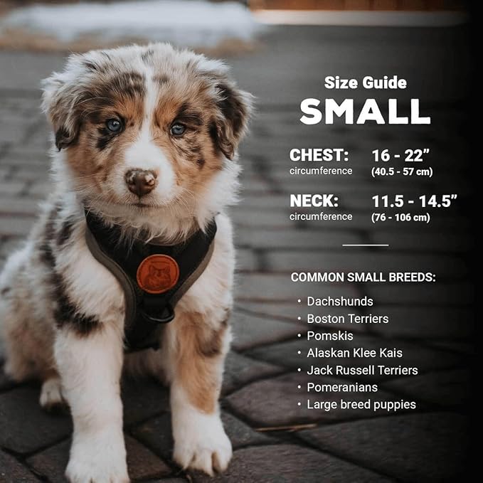 Wilderdog Lightweight Dog Harness with Reflective Straps - Small - Sienna