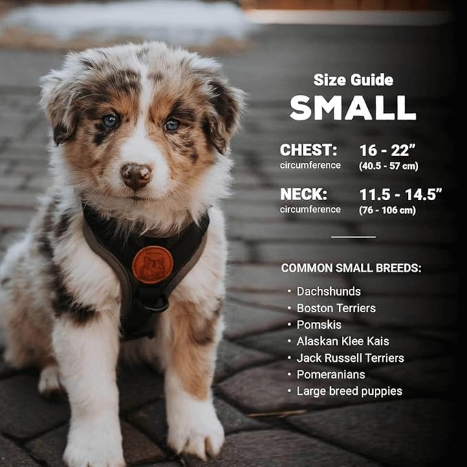 Wilderdog Lightweight Dog Harness with Reflective Straps - Small - Pacific Blue
