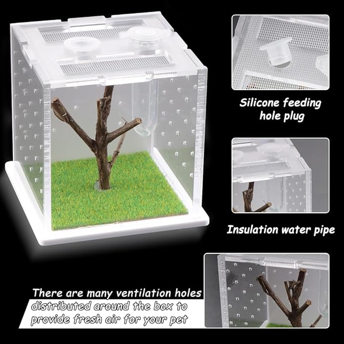 Spider Acrylic Breeding Box, Tarantula Transparent Terrarium, Jumping Spider Feeding Box, Insect Habitat Hatching Container Cage