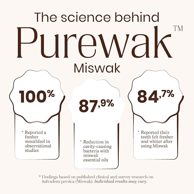 Miswak Sticks, 100% Natural Miswak, Whitens Naturally, Freshens Breath, Miswak Sticks, Traditional Tooth Cleaning Sticks, 3 Months Supply, 1 Pack, 12 Miswak Sticks with Holder.