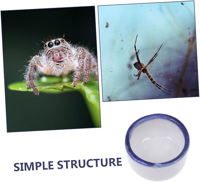 Happyyami 12pcs Mini Ceramic Reptile Water Dish for Enclosures Space-Saving Feeding Bowl for Small Pets Versatile Design for Species