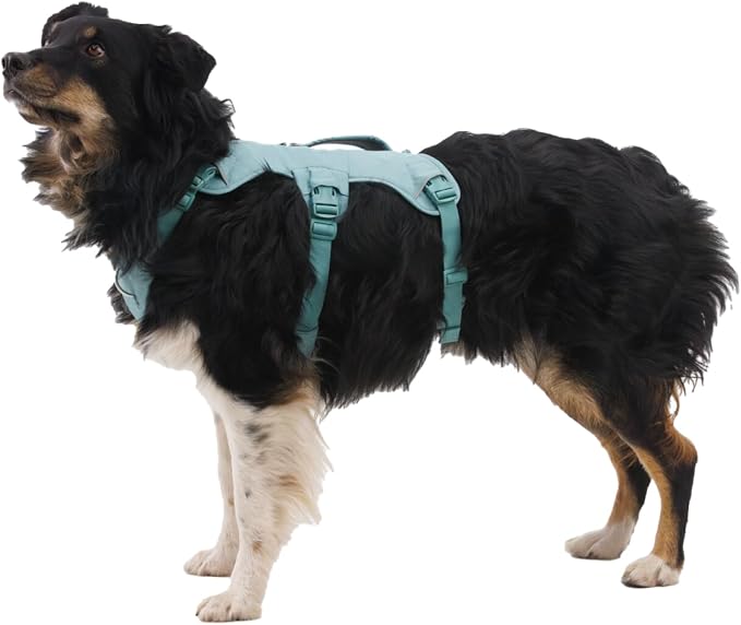 Ruffwear, Web Master, Multi-Use Support Dog Harness, Hiking and Trail Running, Service and Working, Everyday Wear, Red Canyon, Small