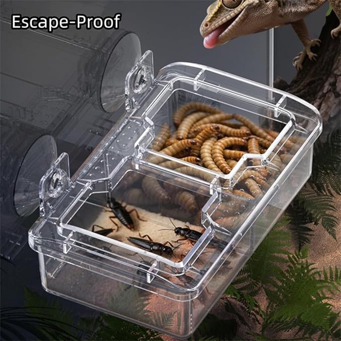 Escape Proof Reptile Feeding Dishes with Suction Cups, Plastic Anti-Escape Mealworms Bug Food Feeder Bowl for Lizard Leopard Gecko Chameleon Terrarium Tank Accessories