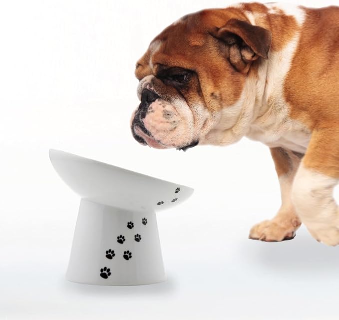 Necoichi Raised Dog Food Bowl, 15° Tilted (Dog, Extra Wide Tilted)