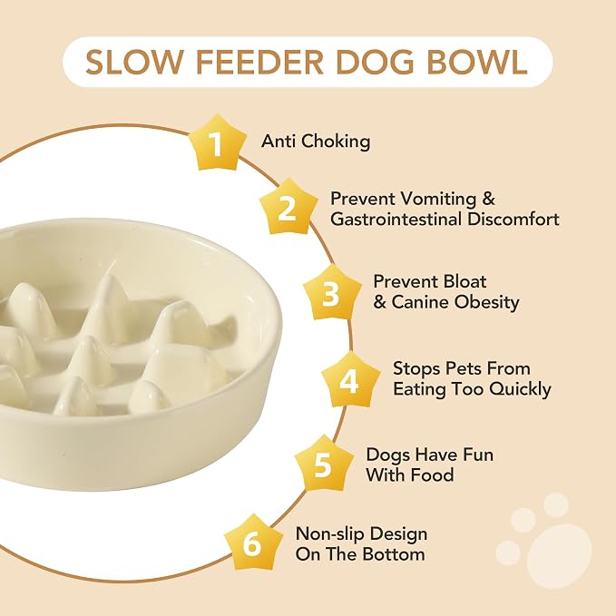 Havniva Elevated Slow Feeder Dog Bowls, Ceramic Dog Bowl Slow Feeder Set | 1.2 Cups Raised Slow Feeder Dog Bowl for Small Breed, 6.1” Dog Water Bowl with Wooden Stand, Puzzle Dog Food Bowl, Non-slip