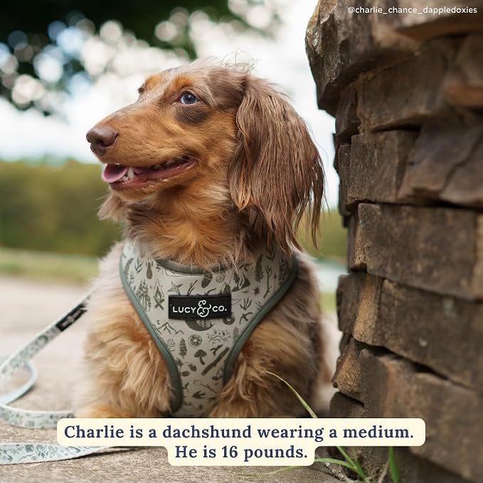 Lucy & Co. Reversible Dog Harness - Water-Repellent Neoprene, Dual-Print Design, Easy Swap Style, Adjustable Comfort Fit - Camp Out Reversible Harness - Medium