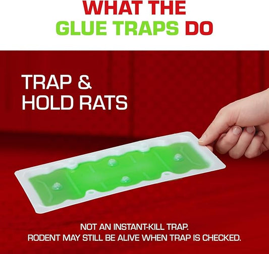 Tomcat Super Hold Glue Traps Rat Size for Rats, Mice, Snakes, Cockroaches, Spiders, and Scorpions, Ready-To-Use, 2 Traps