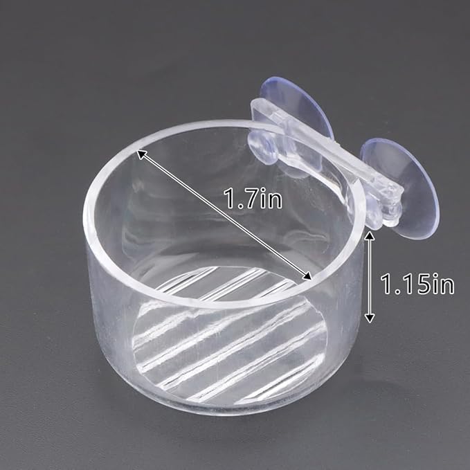 4 Pcs Jumping Spider Feeding Dish Water Bowl with Suction Cup for Jumping Spider Tarantula Millipede Small Reptiles