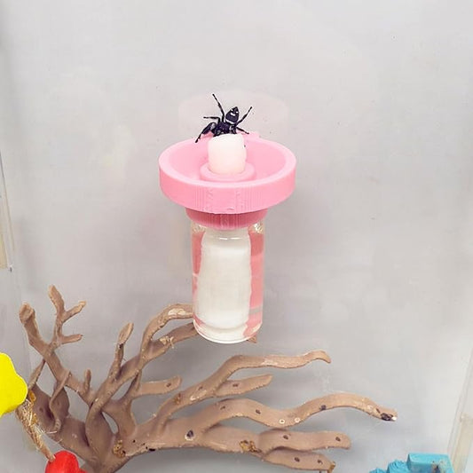 Jumping Spider Water Dispenser, Magnetic Hanging Feeder,Suitable for Jumping Spiders,Tarantulas, Praying Mantises,Arboreal Animals, and Other Small Animal Enclosure Accessories (Pink, 5ML)