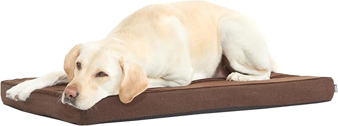 BarkBox Orthopedic Dog Bed - Large | with Memory Foam - Comfortable, Durable & Machine Washable Pet Bed - Espresso