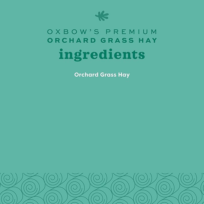 Oxbow Orchard Grass Hay for Small Pets – All-Natural Long Strand Fiber Hay for Rabbits, Guinea Pigs, Chinchillas, and Hamsters – Supports Digestive Health and Enrichment – 40 oz Bag