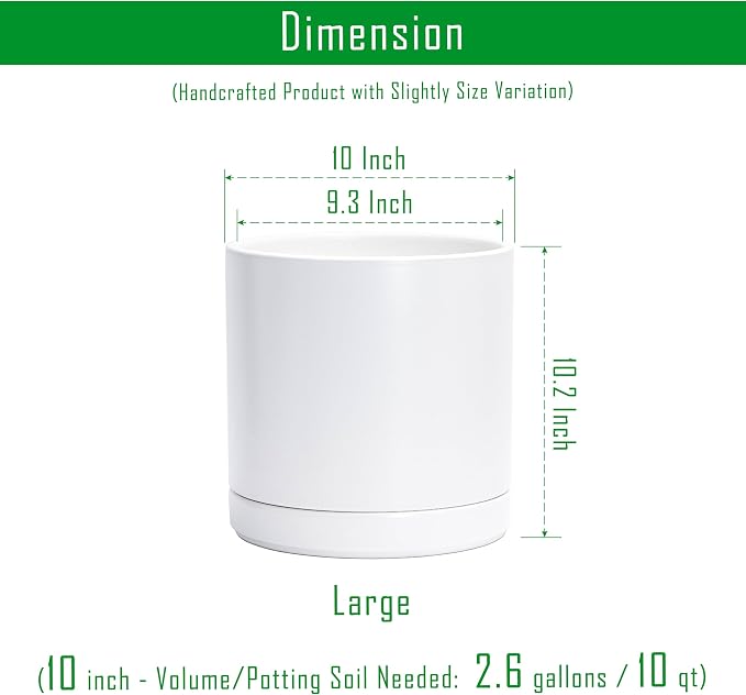 D'vine Dev 10 Inch Ceramic Planter Pot, White, 94-O-E-1 | Modern Cylinder Design, Drainage Hole & Saucer Included, Stable Structure, Elegant Home Accent