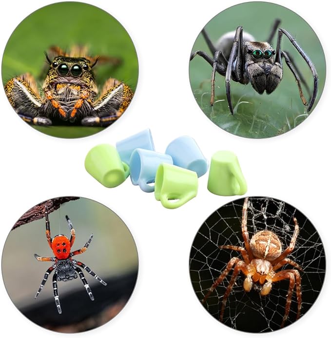6 Pcs Tarantula Micro Water Bowl Spider Resin Feeding Bowl for Spider Tarantula Millipede Tiny Bugs Small Insects (Blue and Green)