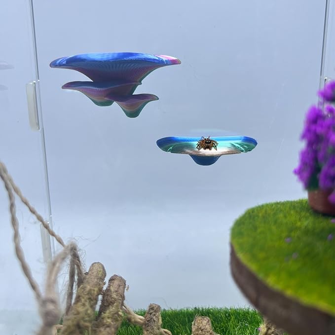 Jumping Spider Mushroom Shelf, Magnetically Concealed Jumping Spider Habitat,Serves As Enclosure Decorate Accessories for Spider Climbing Feeding and Platforms (Gradient)