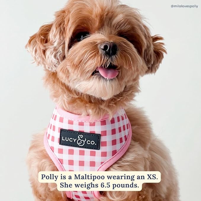 Lucy & Co. Reversible Dog Harness - Water-Repellent Neoprene, Dual-Print Design, Easy Swap Style, Adjustable Comfort Fit - Take a Bow Reversible Harness - Large