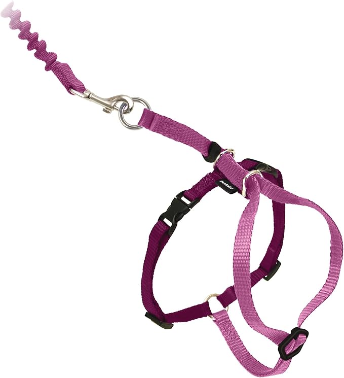 PetSafe Come with Me Kitty Harness and Bungee Cat Leash, Dusty Rose, Large | Adjustable 2-Point Fit Applies Gentle Pressure to Shoulders, Not Neck, for Average and Large Cats with 13 in - 18 in Girth