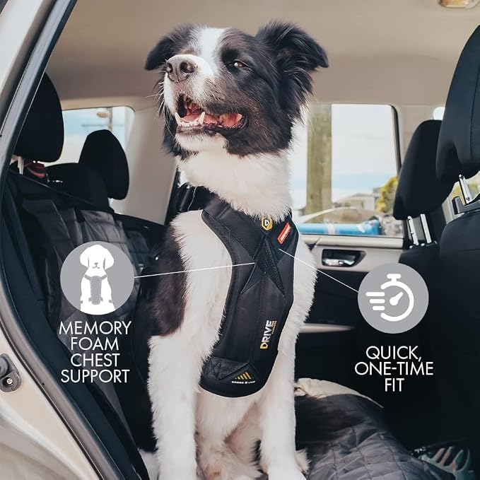 EzyDog Drive Dog Car Harness, Crash Tested and Certified - Large | US-FMVSS 213 Certified Dog Seat Belt Harness, Adjustable, Padded Comfort Chest Plate, Dual Metal SR Buckles