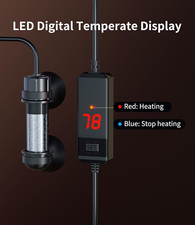 5 Gallon Fish Tank Aquarium Kit with Heater, HOB Filter, LED Light with Timer, Lid, Siphon Vacuum Cleaner, Self Cleaning Glass Rimless Betta Tank