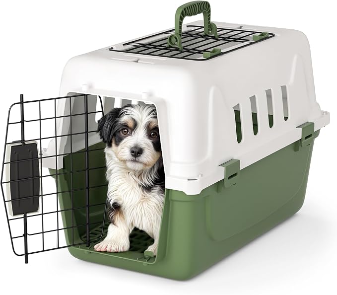Magshion 18 Inch Hard-Sided Dog Cat Carrier, Green | Top and Front Door Access, Plastic Dog Kennel for Longer Traveling, Durable Handle and 4 Sides Ventilation, For Pet Up 20 lbs