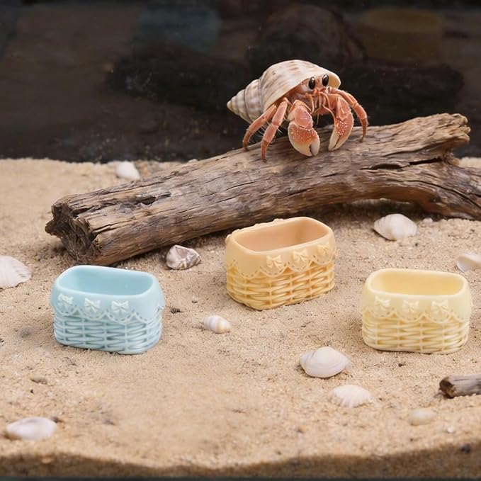 DQITJ 6 Pcs Jumping Spider Water Bowl Food Dish Micro Basket Decor for Hermit Crab Tarantula Snail Millipede Small Reptiles