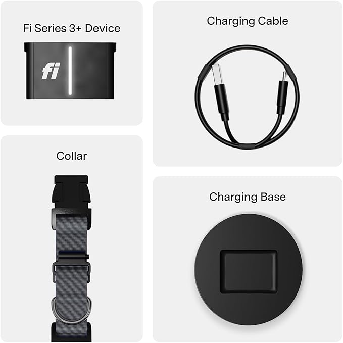 Fi New Series 3+ Smart Dog Tracker Collar [6 Month Membership Included] GPS Tracker for Dogs with Health & Behavior Monitoring, Escape Alerts, Waterproof, LED, Apple Watch Compatible (Gray, X-Large)