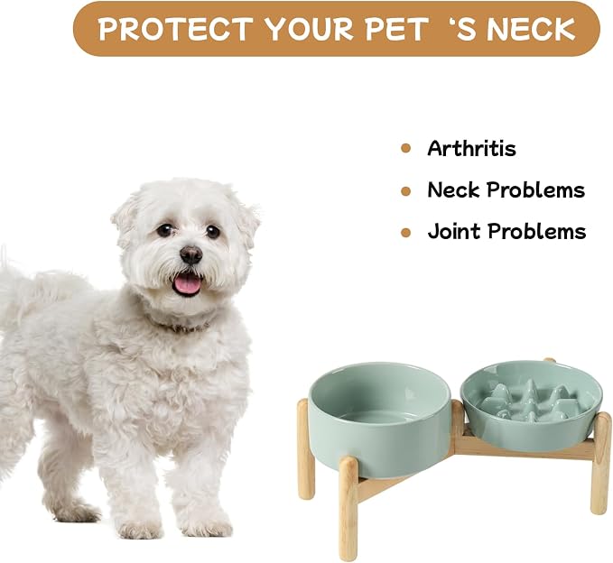 Havniva Elevated Slow Feeder Dog Bowls, Ceramic Dog Bowl Slow Feeder Set | 0.9 Cups Raised Slow Feeder Dog Bowl for Small Breed, 6.1” Dog Water Bowl with Wooden Stand, Puzzle Dog Food Bowl, Non-slip