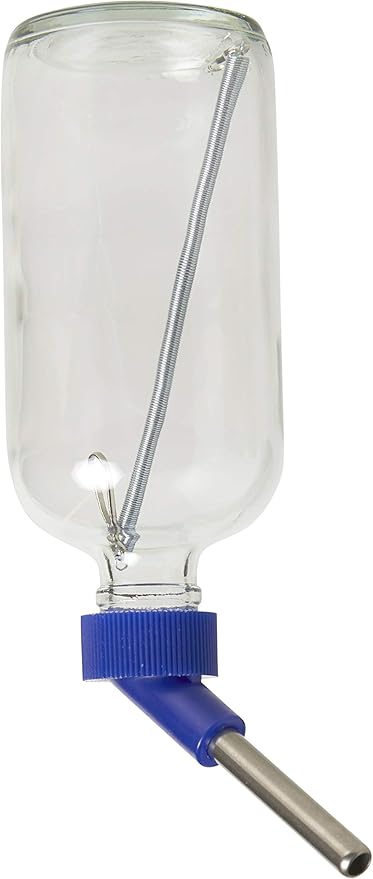 Lixit 30-0370-024 Glass Water Bottle for Birds and Small Animals, 8-Ounce