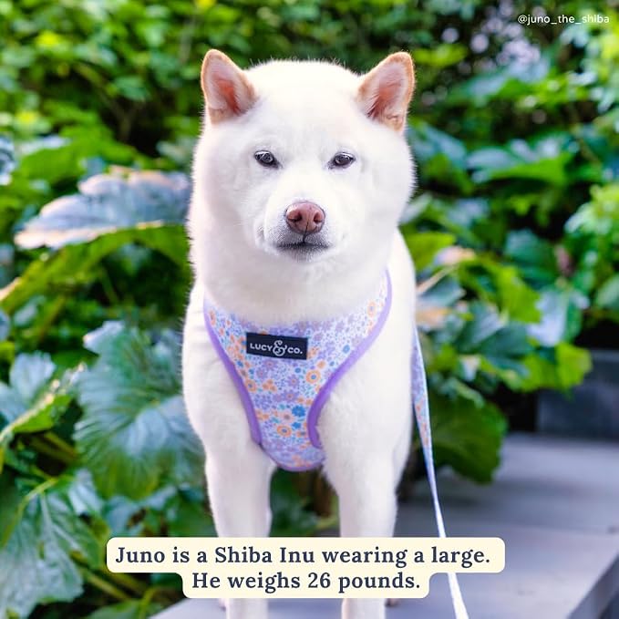 Lucy & Co. Reversible Dog Harness - Water-Repellent Neoprene, Dual-Print Design, Easy Swap Style, Adjustable Comfort Fit - Among Wildflowers Reversible Harness - X-Small