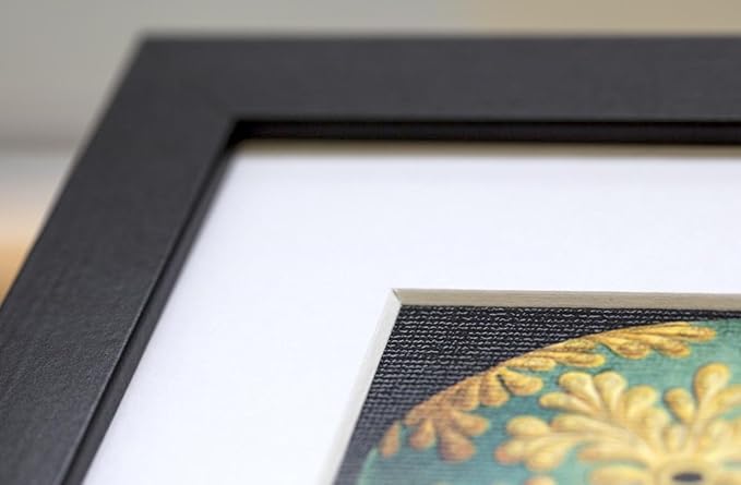 DISCUS FISH OCEAN SEA BLACK FRAME FRAMED ART PRINT PICTURE MOUNT B12X9188