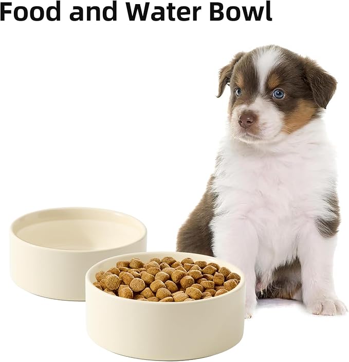 Havniva Cat Bowls Set of Two, 6.1” Ceramic Cat Food and Water Bowls | Cat Food Bowls Whisker Friendly, Non-Slip Base, Food-Grade Ceramic, Wide Opening, Dishwasher Safe, Cat Bowls for Indoor Cats