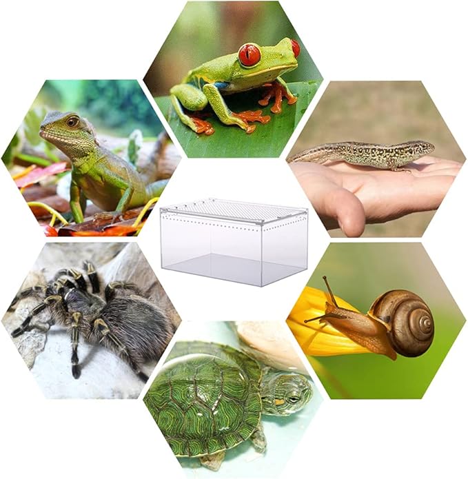 NANEEZOO Magnetic Large Enclosure 2.5 Gallon 12 x 8 x 6 Inch Reptile Breeding Box Terrarium Cage for Insect Tarantulas Amphibians Caterpillars Snail Clear Reptile Feeding Box